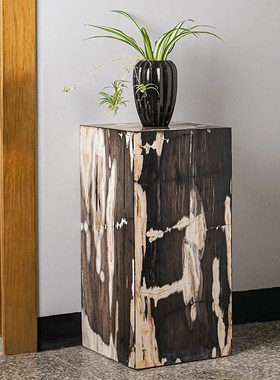 天然木化石空心几何落地摆件树化石方墩子展示台简约玄关高低花架