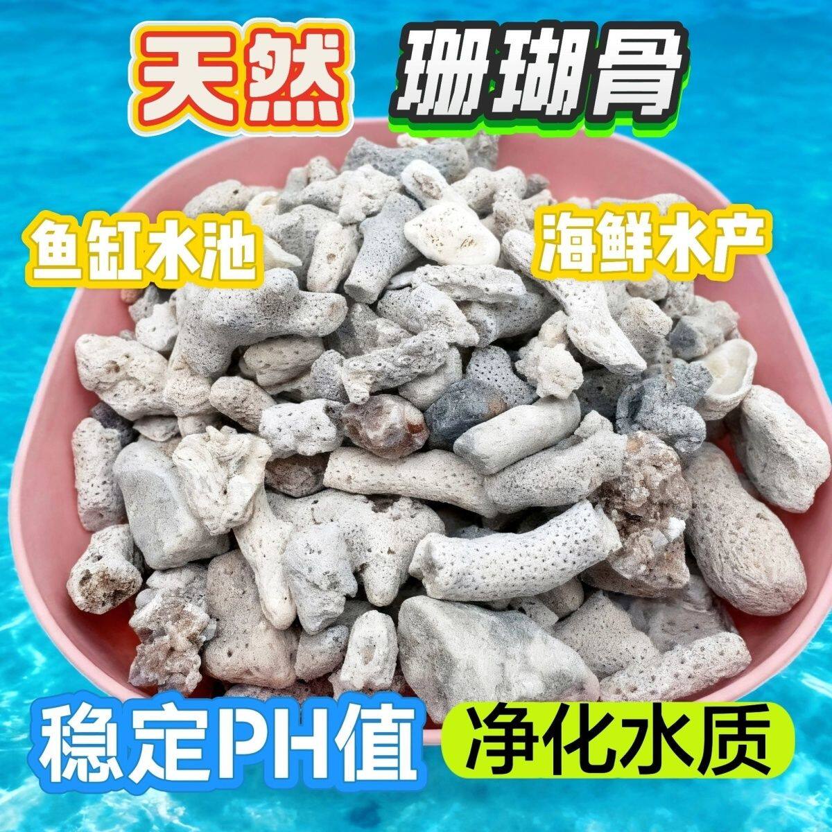 净化水质鱼缸海鲜鱼池水产包邮