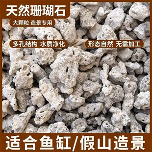 珊瑚砂过滤水族箱造景装饰珊瑚骨净化水质鱼缸海鲜鱼池水产包邮