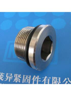 凸肩对接公制车螺纹金属螺塞(内六角圆柱头O形密封圈)NFE27435