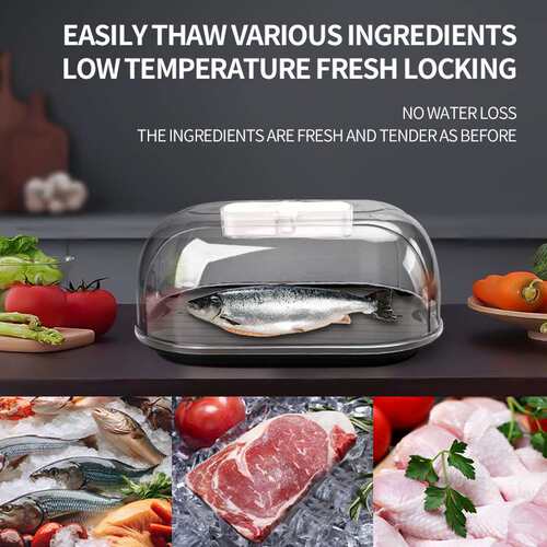 Kitchen defrosting plate for meat and steak - thermal conduc