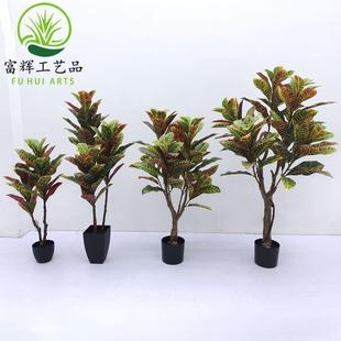 仿真植物洒金榕榕叶绿植盆栽组合造景仿真树花装扮道具摆件