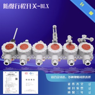 限位开关 行程脚踏开关 IIC行程开关 IIB 防爆行程开关BLX