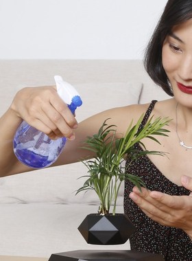 磁悬浮摆件盆栽植物小花盆创意装饰办公室桌面摆件三八妇女节礼物