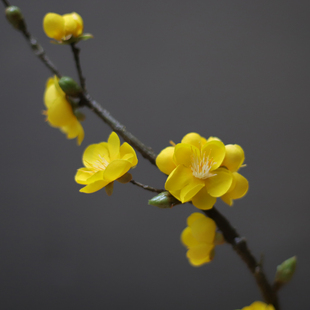 中式仿真花梅花套装花艺假花装饰绢花客厅室内餐桌盆栽花瓶摆件