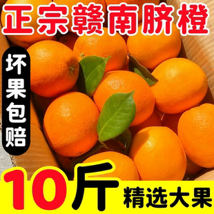 橙子江西赣南脐橙新鲜应季 水果产地直发整箱10斤官方旗舰店 当季