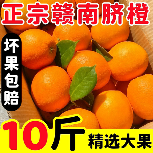 赣南脐橙应季新鲜水果产地直发