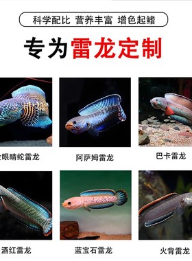 雷龙鱼饲料高钙高蛋白起鳍增色鱼粮眼睛蛇阿沙姆奶茶七彩雷龙鱼粮