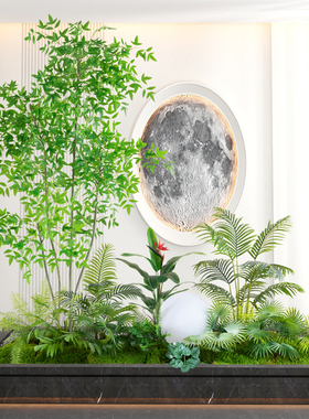 仿真绿色植物室内景观植物造景楼梯下装饰花摆件橱窗S阳台花园花