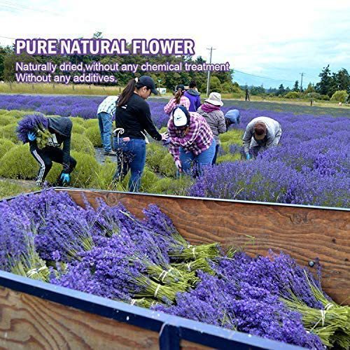 亚马逊跨境自制肥皂材料天然干玫瑰花瓣干薰衣草干料产品