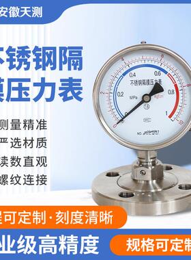 YTP-100BFZ隔膜压力表Y-100BF/Z/ML不锈钢耐震防腐型隔膜压力表