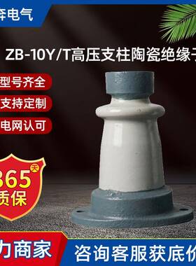 ZB-10Y/T高压支柱陶瓷绝缘子线路支撑母排铜排ZAW/ZA-6固定电厂用