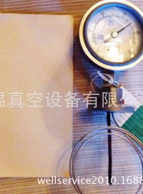 CTIH2VaporBulb8080250K009氢气表头