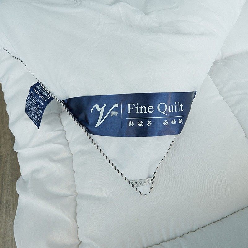 2021磨毛压花春秋被r子被芯冬被保暖学生宿舍棉被太空被单人双人,床上用品,化纤被,淘宝优惠券,粉丝福利购,淘宝优惠卷