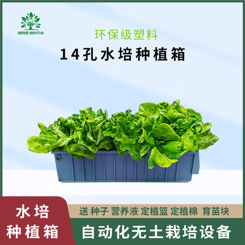 绿植花瓶_盆栽 无土栽培养花种菜盆阳台楼顶家用水培种植箱包邮