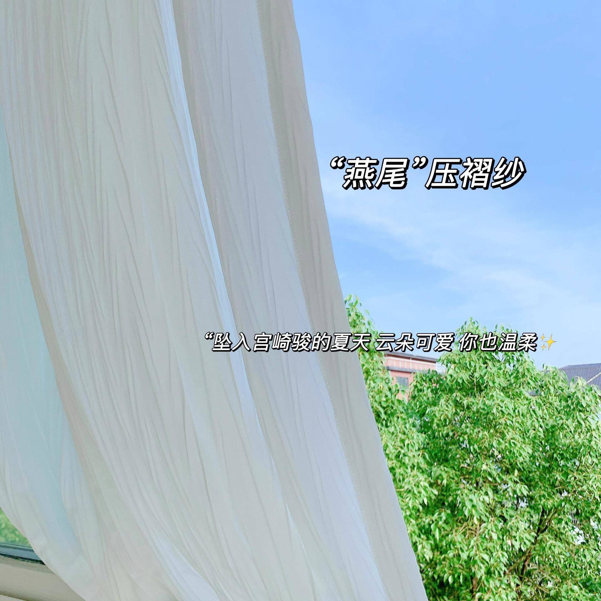 燕尾纱透光不透人卧室客厅防晒隔热飘窗白纱简约网红落地窗燕尾皱