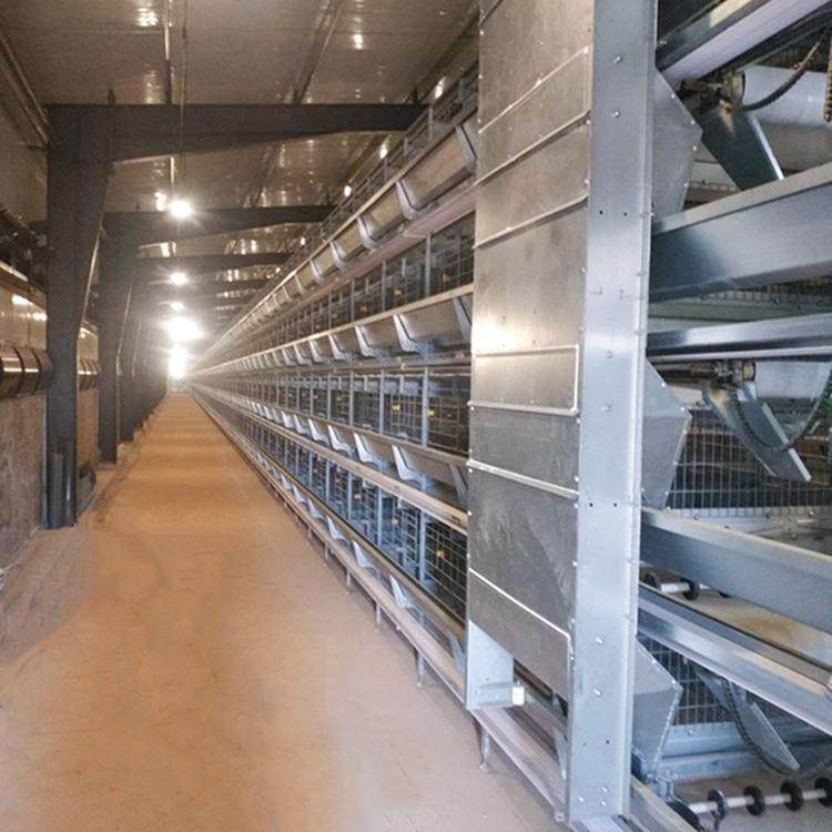 全自动肉鸡笼镀锌鸡笼子大型鸡场自动化养殖设备生产厂家直销