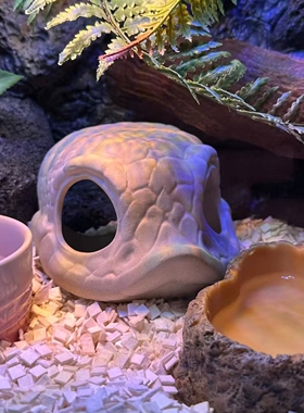 Hinson爬宠猪鼻躲避屋 陶瓷猪鼻躲避屋 造景 助蜕皮期完美蜕皮