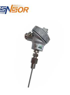 EYC拧入式热电阻R2系列 PT100信号 FPT1/4活动螺纹 管长可选订购