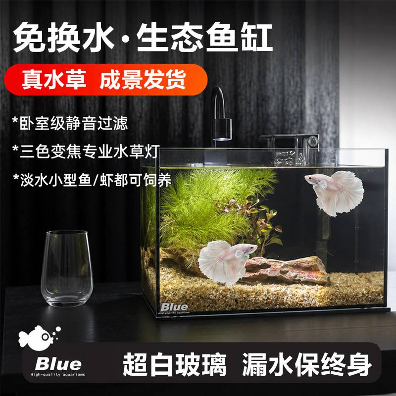 桌面小型免换水过滤制氧自循环懒人客厅桌面生态金鱼缸超白玻璃缸