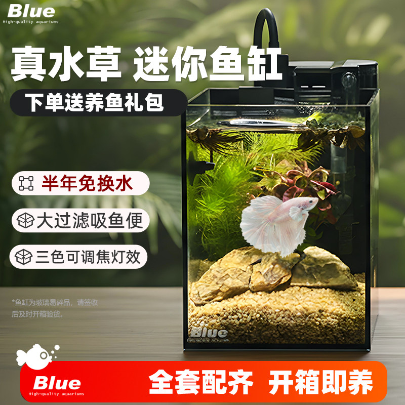 超白玻璃桌面斗鱼生态缸自循环图片