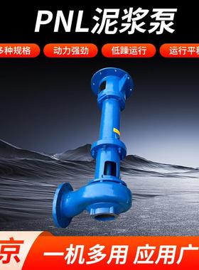 PNL泥浆泵 立式铸铁液下泵离心泵污水泵抽粪淤泥泵打井勘探液下泵