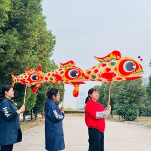 新款国潮大型节庆鱼灯手持游园传统摄影道具摆拍成品汉服古风花灯