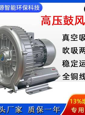 2PB410H06高压防爆风机沼气气体输送旋涡气泵环形漩涡式鼓风机