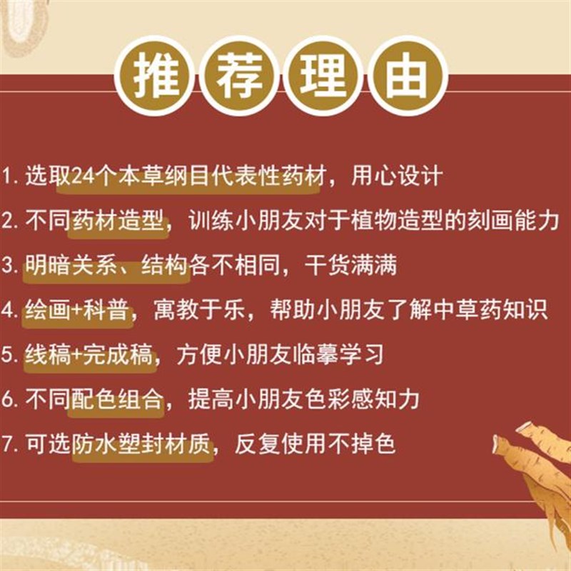 本草纲目药材线描画全套少儿童画美术绘画学习马克笔学生临摹卡