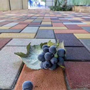 透水砖广场户外景观庭院铺地陶土砖人行道砖红色面包砖道板砖PC砖