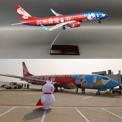 46CMB737仿真飞机模型LED声控