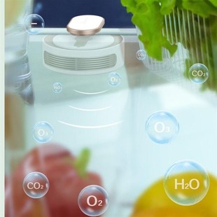 家用冰箱杀菌除味器臭氧消毒除臭除异味剂保鲜净化环保无害除菌器