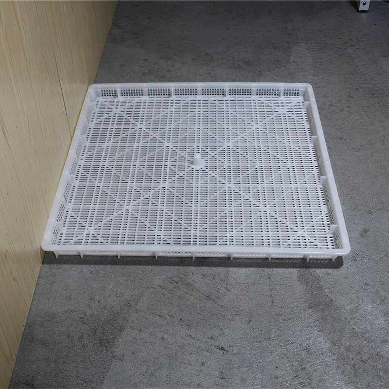 安徽黄山加厚塑料食品烘盘 菊花烘干盘单冻器大枣黄花菜晒盘