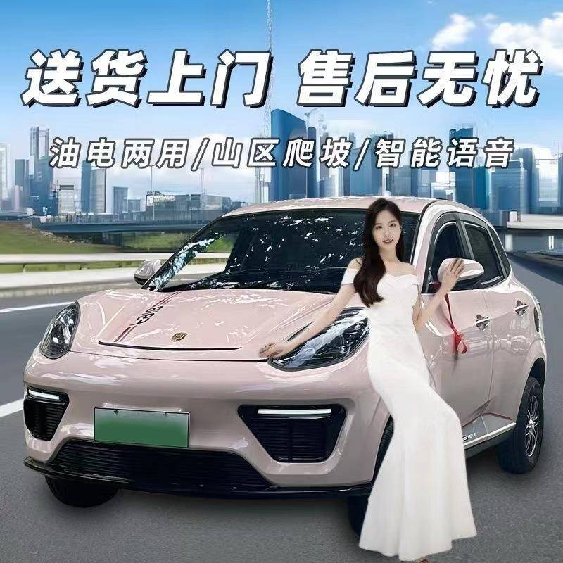 新能源电动汽车成人四轮车家用全封闭代步两用锂电瓶四轮轿车