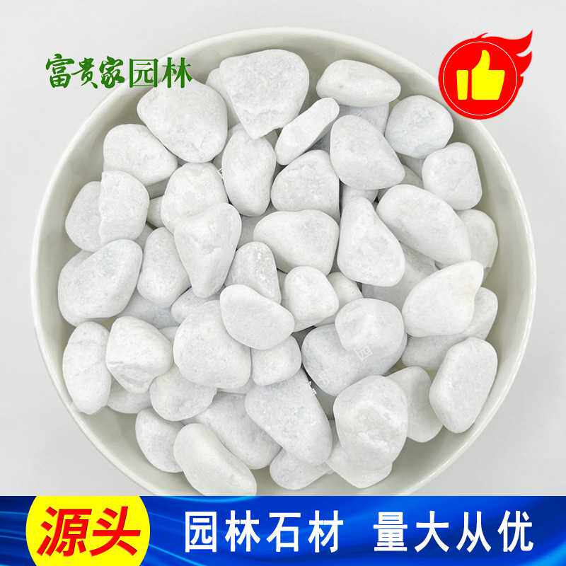 深圳白色鹅卵石厂家园艺铺面小石头园林枯山水造景机制石子白石子