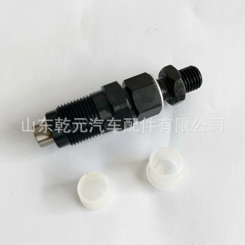 23600-19075 国产全新PDN喷油器总成