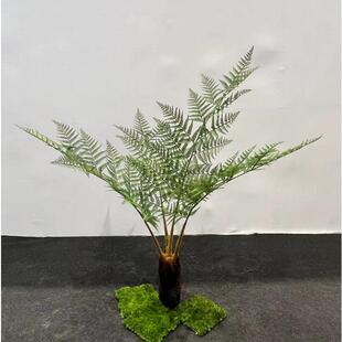 仿真桫椤树热带假树假沙罗树景观室内装饰绿植森系植物大型摆件