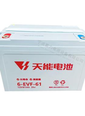 天能6EVF61-3蓄电池台励福龙工中力达西林诺力托盘搬运车叉车电瓶