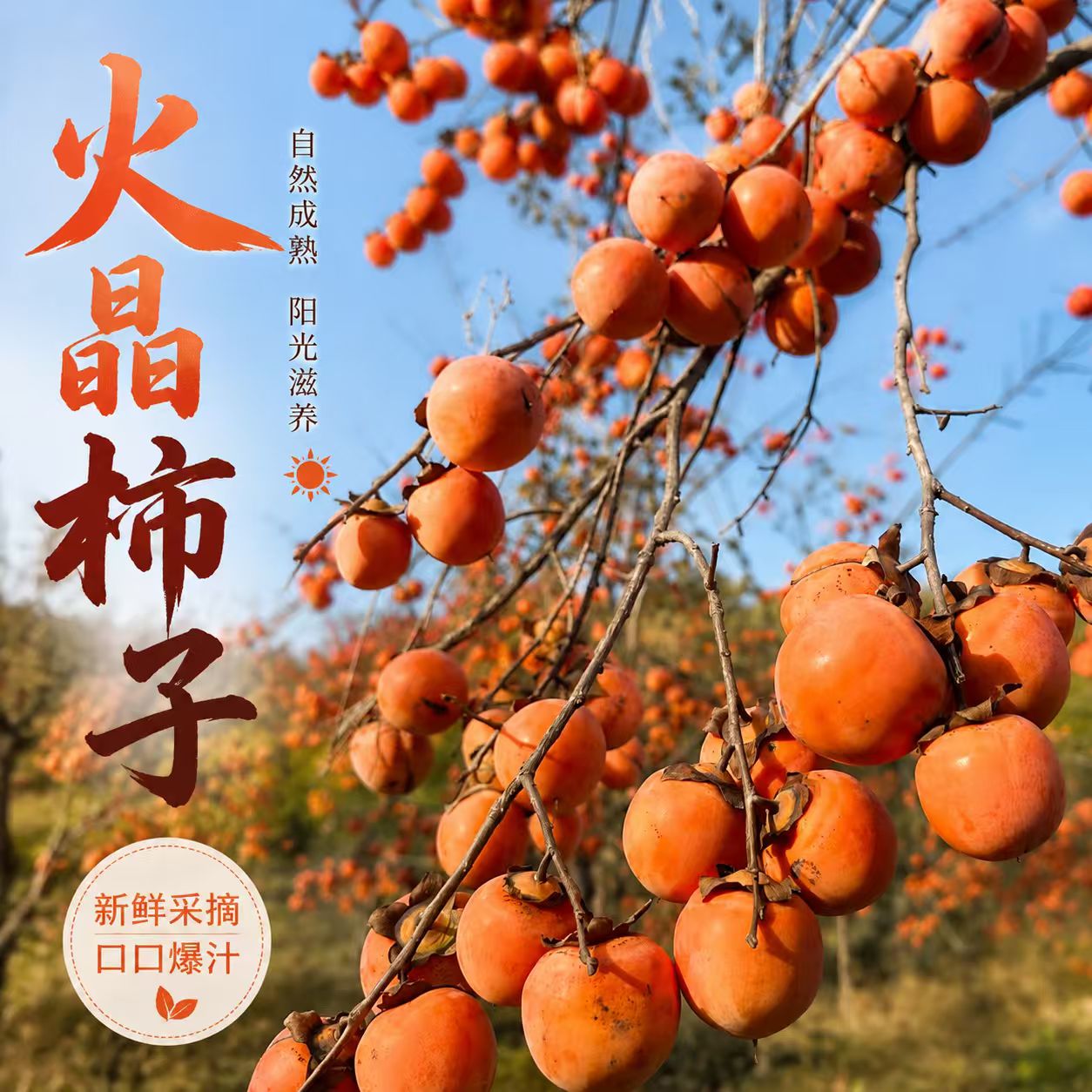 【放软吃】正宗陕西火晶柿子新鲜当季水果整箱临潼流心软甜小柿子