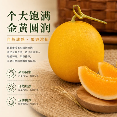 甘肃民勤蜜瓜沙漠蜜瓜甜瓜哈密瓜