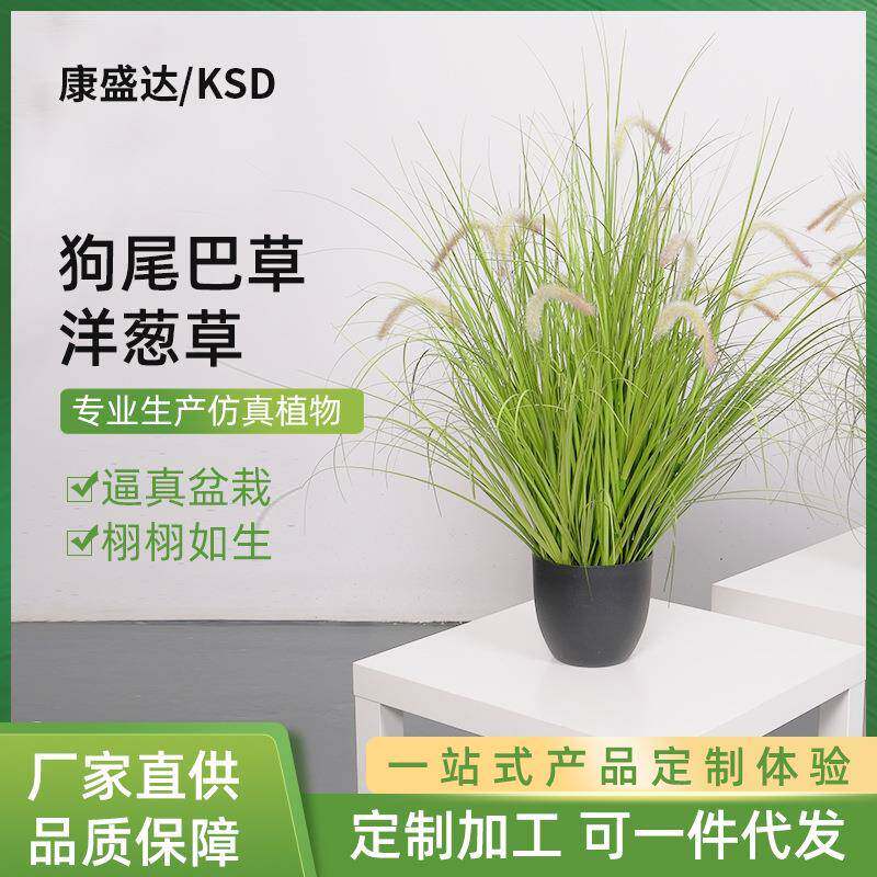 pvc洋葱草仿真黛色狗尾巴草洋葱草盆栽大型绿植摆件家居装饰盆景
