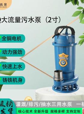 WQ系列24v潜水泵家用排灌地下室48/60v水泵废水粪池养殖场污水泵