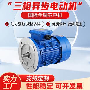 15W 0.75 7.5 5.5 2.2 1.1 YE3三相异步电机380V0.55 YE2