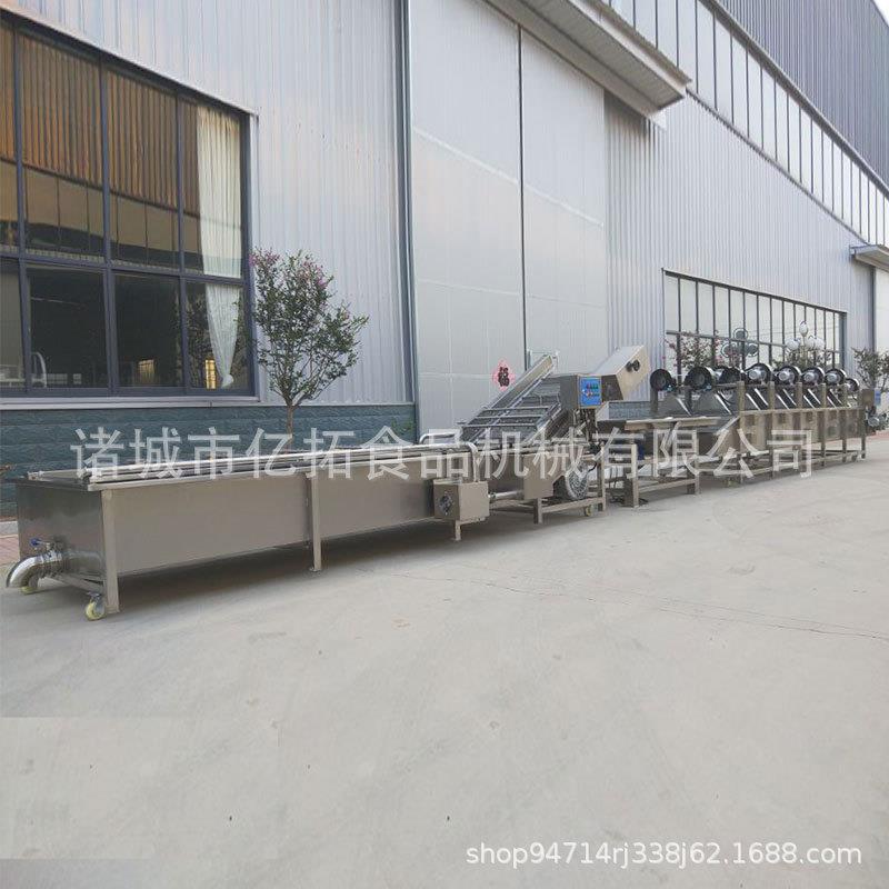 直销多功能气泡清洗机全自动气泡果蔬清洗机可定制净菜加工设备