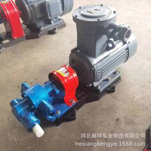 销售KCB 83.3齿轮油泵输送高粘度耐腐蚀小流量抽油泵不锈钢增压泵