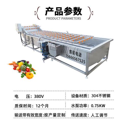 商用高压不锈钢洗菜机 果蔬海鲜气泡清洗设备S 果蔬清洗流水线