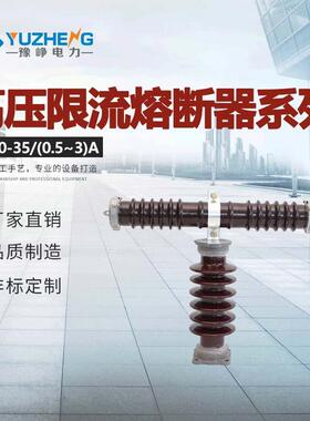 RXWORW10-35RW9RXWO-35KV高压限流熔断器0.1A2A3A-1保险丝