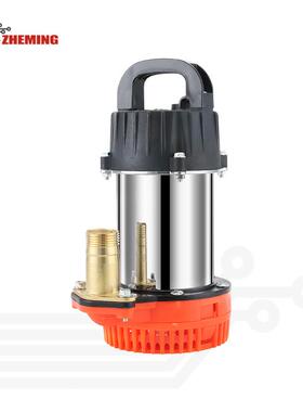 直流泵12v24v48v60v72v1寸高扬程大流量迷你直流太阳能泵DCPUMP