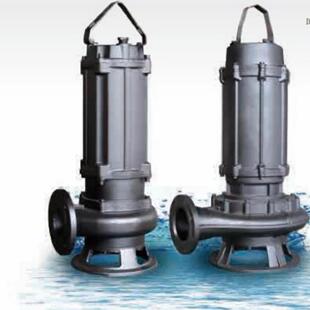 供应上海天泉潜水式排污泵QW100-65-15-5.5铸铁材质各规格可选