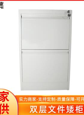 供应双层文件矮柜灰色档案文件双层柜冷轧钢板储物柜子规格可定